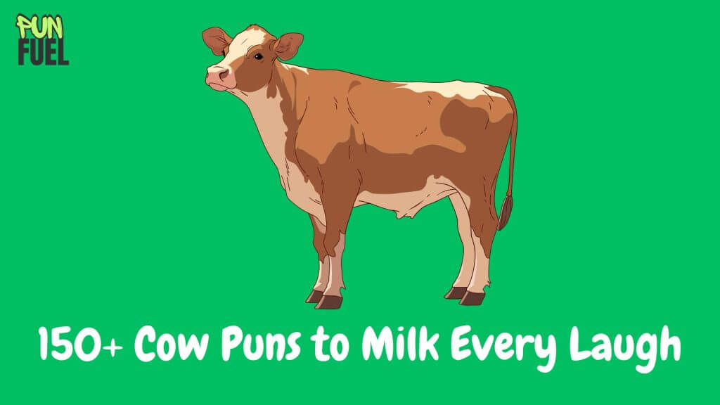 150+ Cow Puns