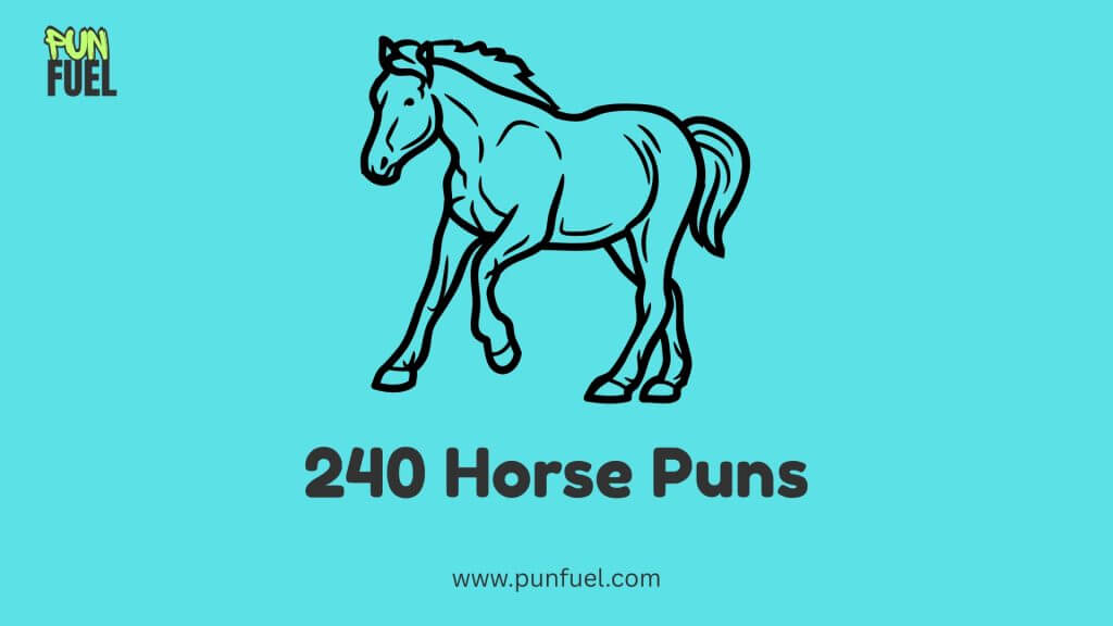 240 Horse Puns