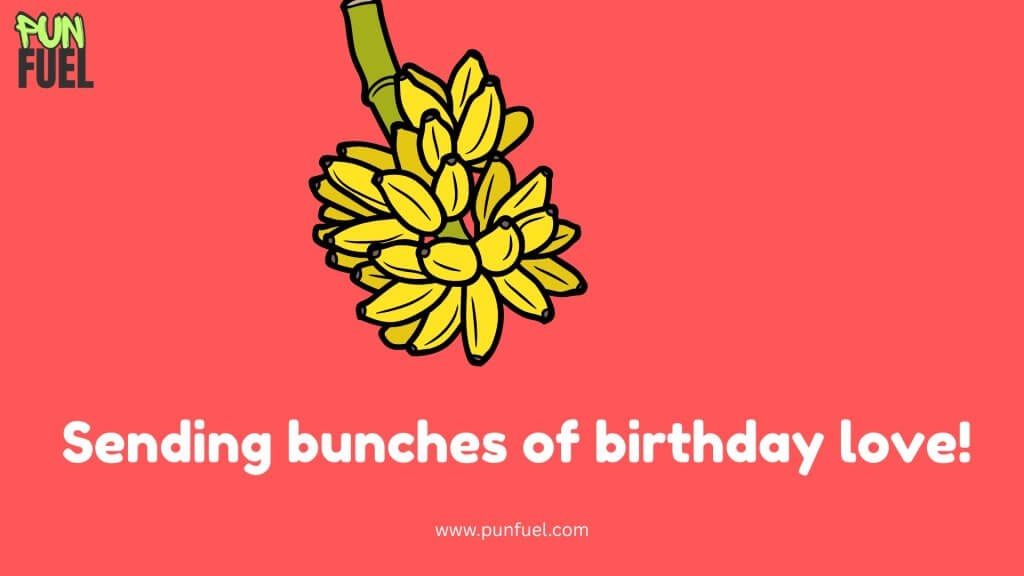 Birthday Banana Puns