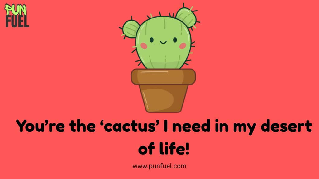 Cactus and Succulent Puns