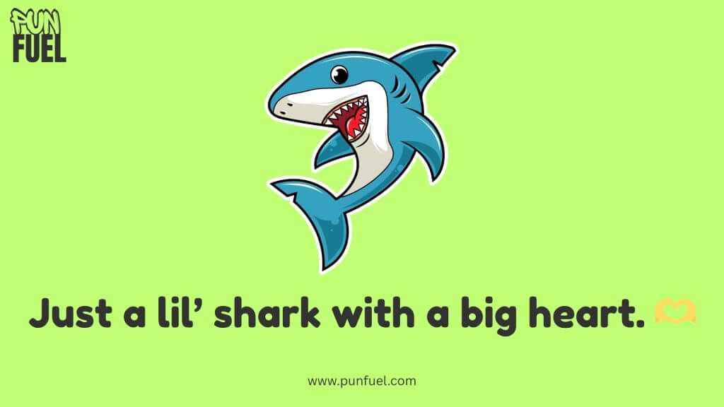 Cute Shark Puns 