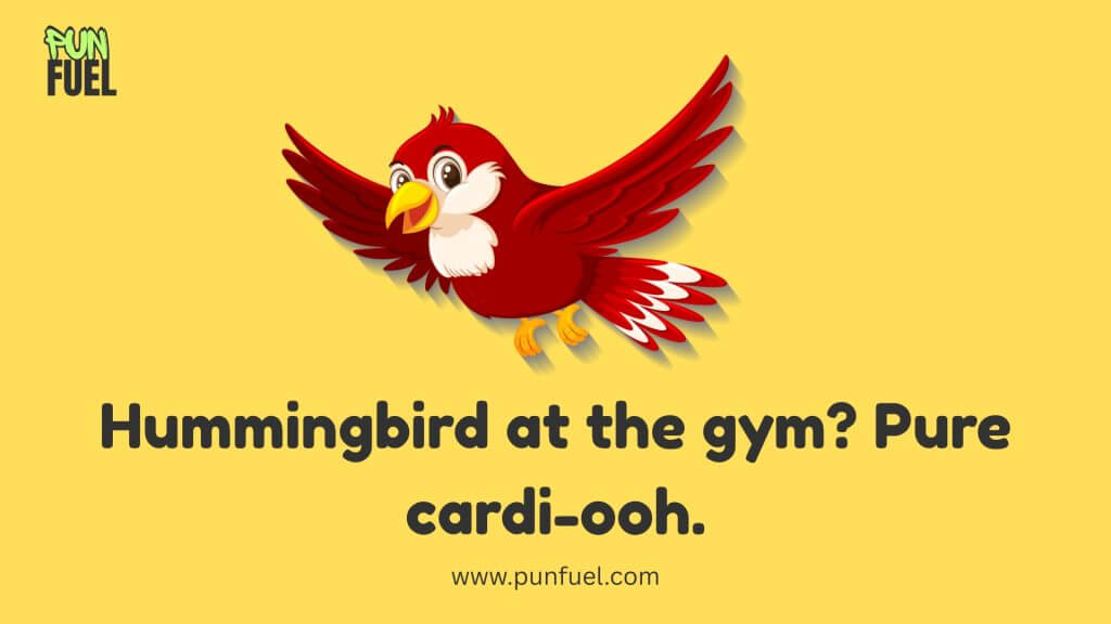 Funny Bird Puns