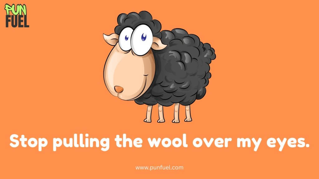 Funny Sheep Puns