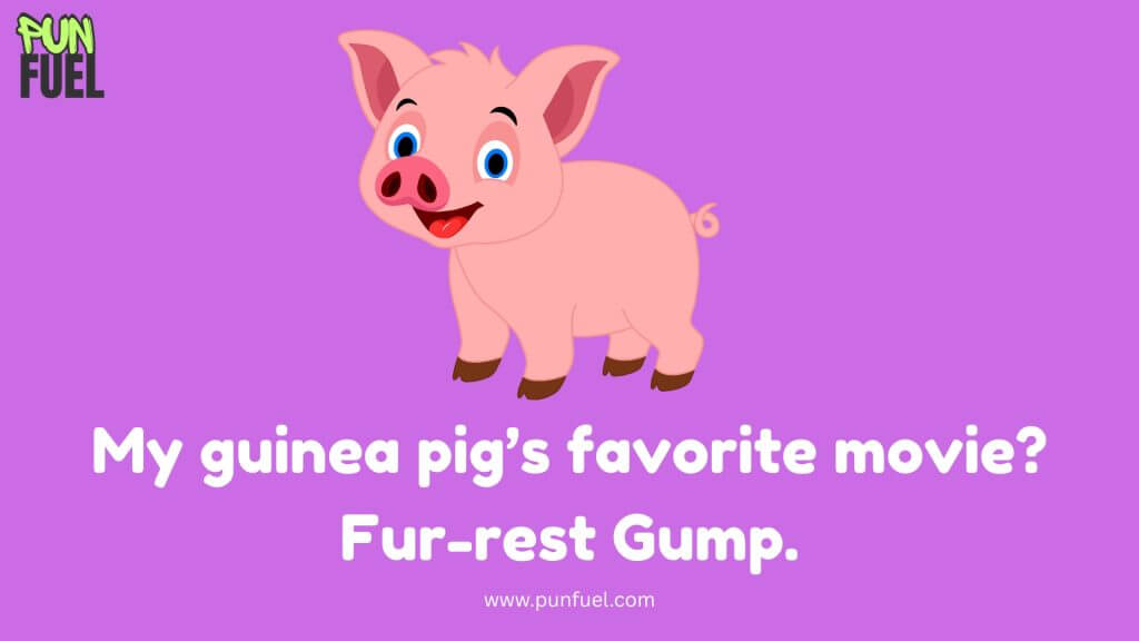 Guinea Pig Puns