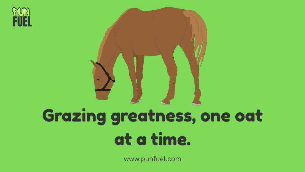 Horse Puns For Instagram