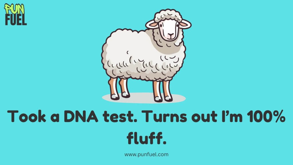 Sheep Puns One-Liners