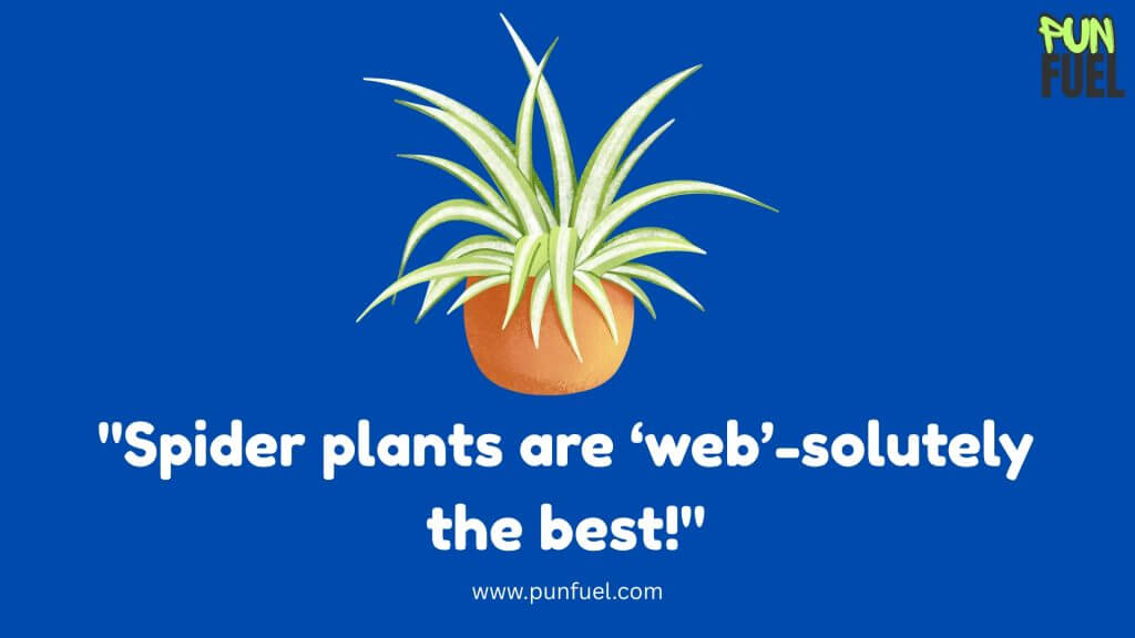 Spider Plant Puns