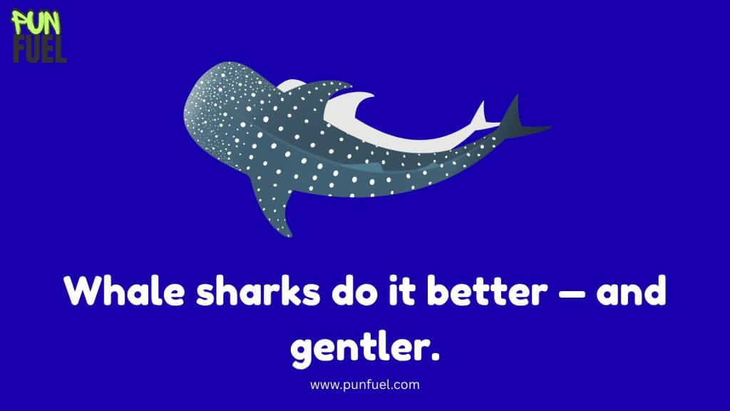 Whale Shark Puns 