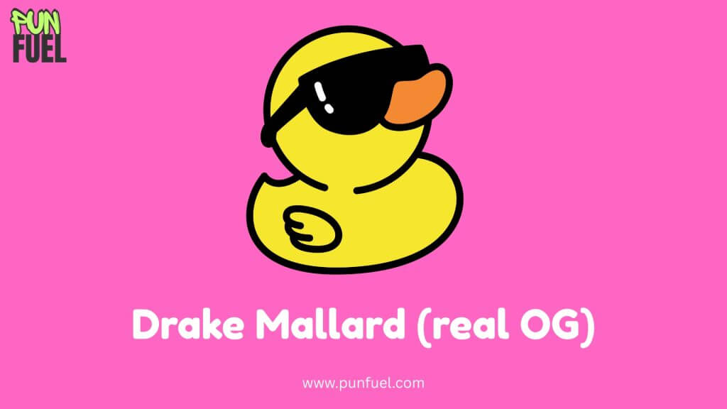 🎭 Funny Punny Names for Ducks