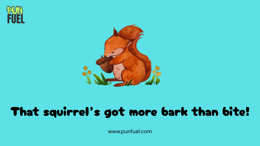 🐿️ One Liner Squirrel Puns