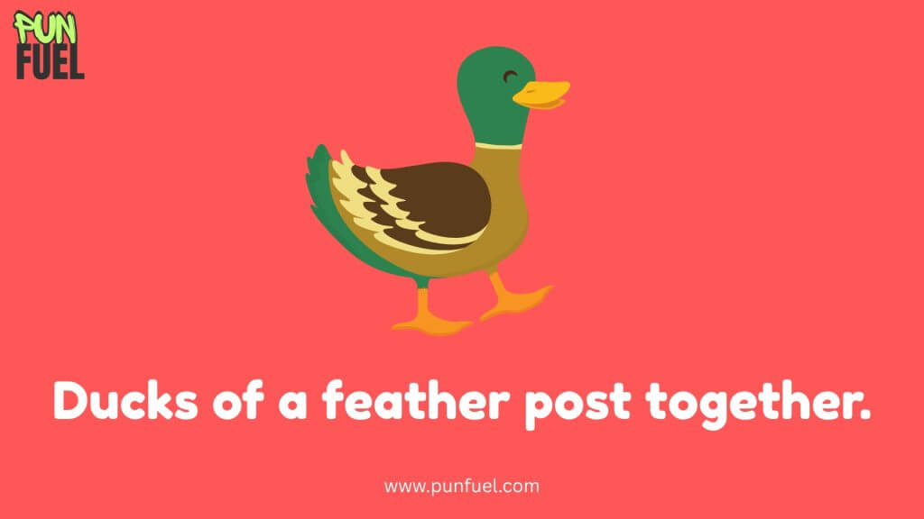 📸 Duck Puns for Instagram