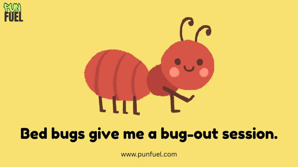 Bed Bug Puns