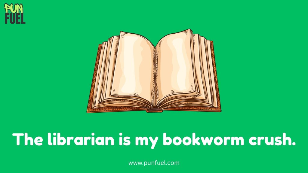 Book Puns One Liners