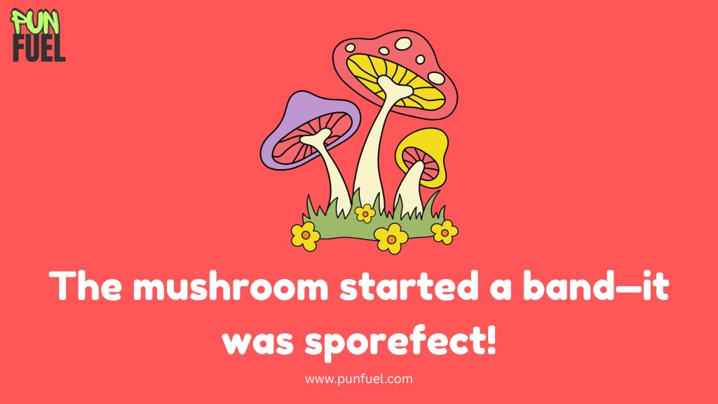 Funny Mushroom Puns