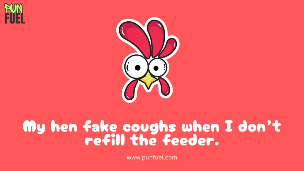 Funny Puns About Chickens