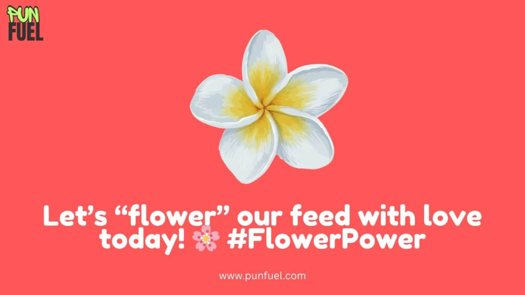 Instagram Flower Puns