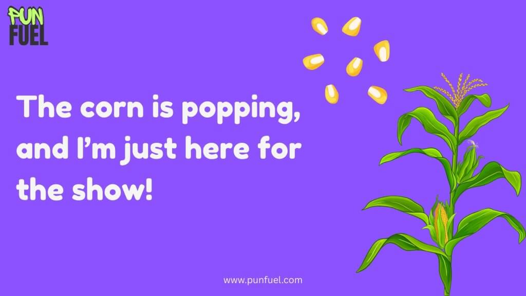 One Liner Corn Puns