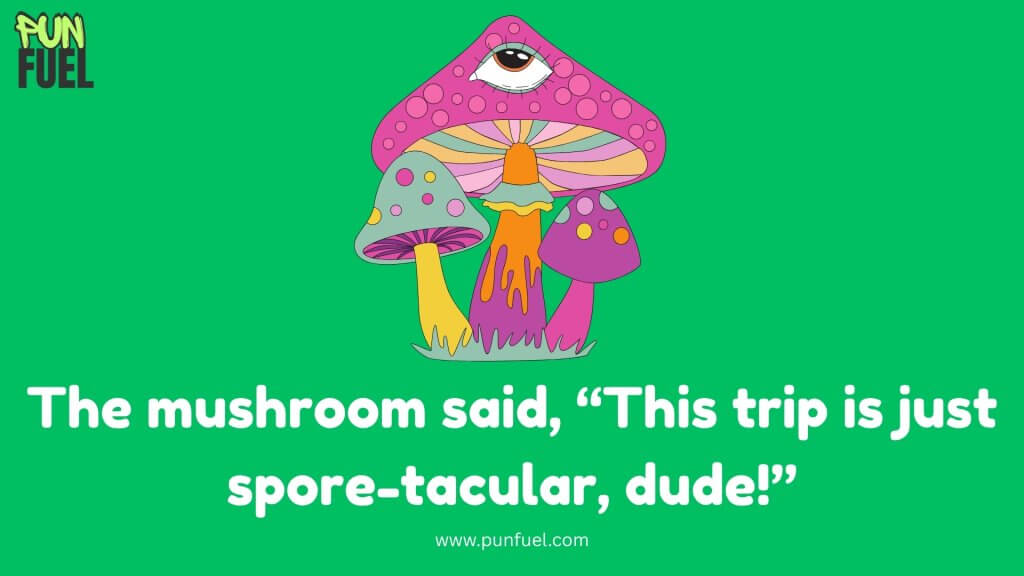 Psychedelic Mushroom Puns