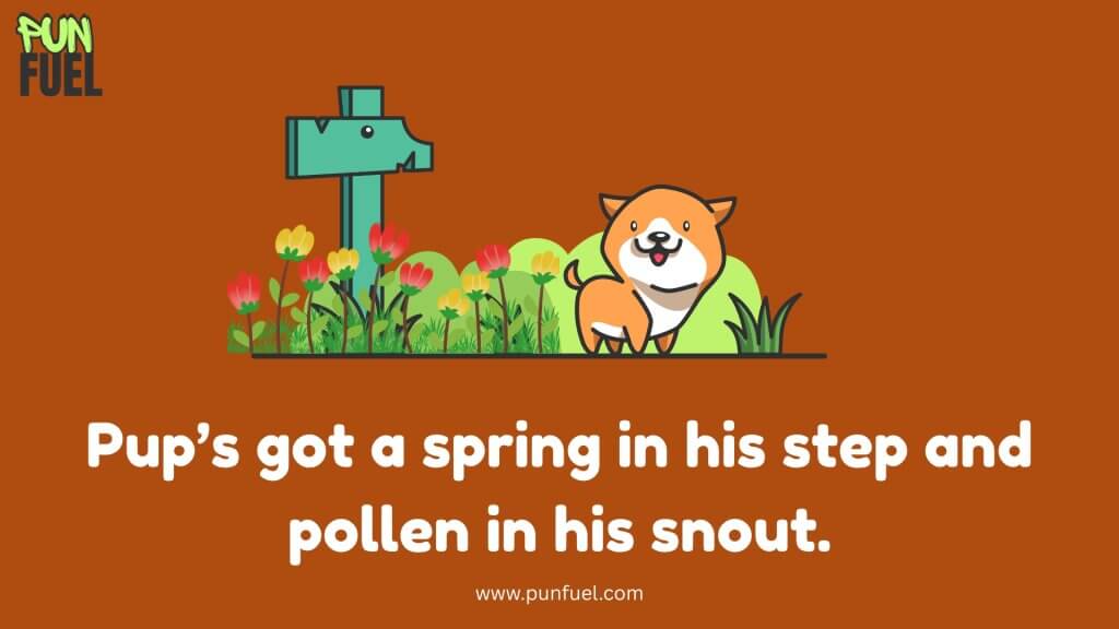 Spring Dog Puns