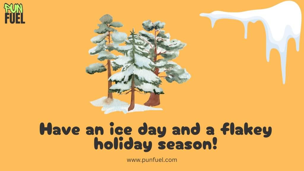 Winter Snow Puns for Christmas Cards