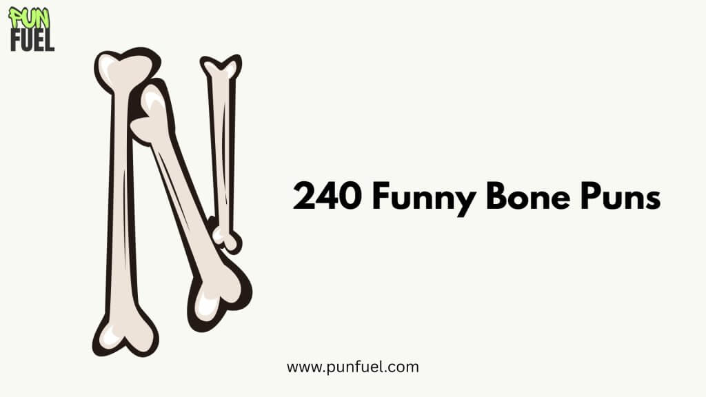 240 Funny Bone Puns