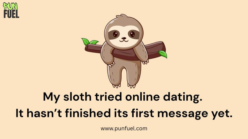 Funny Sloth Puns