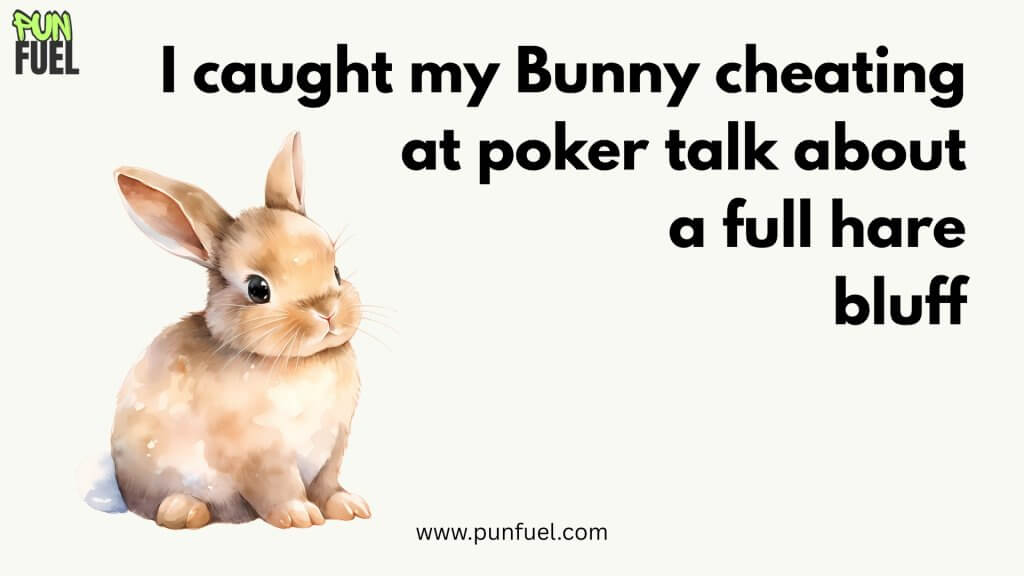 Funny Bunny Puns