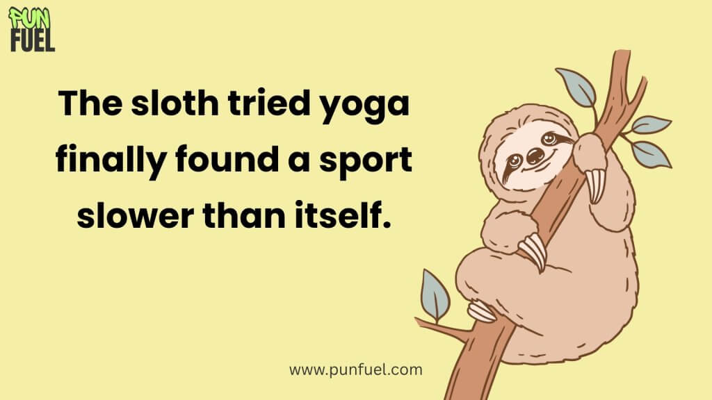 One Liner Sloth Puns