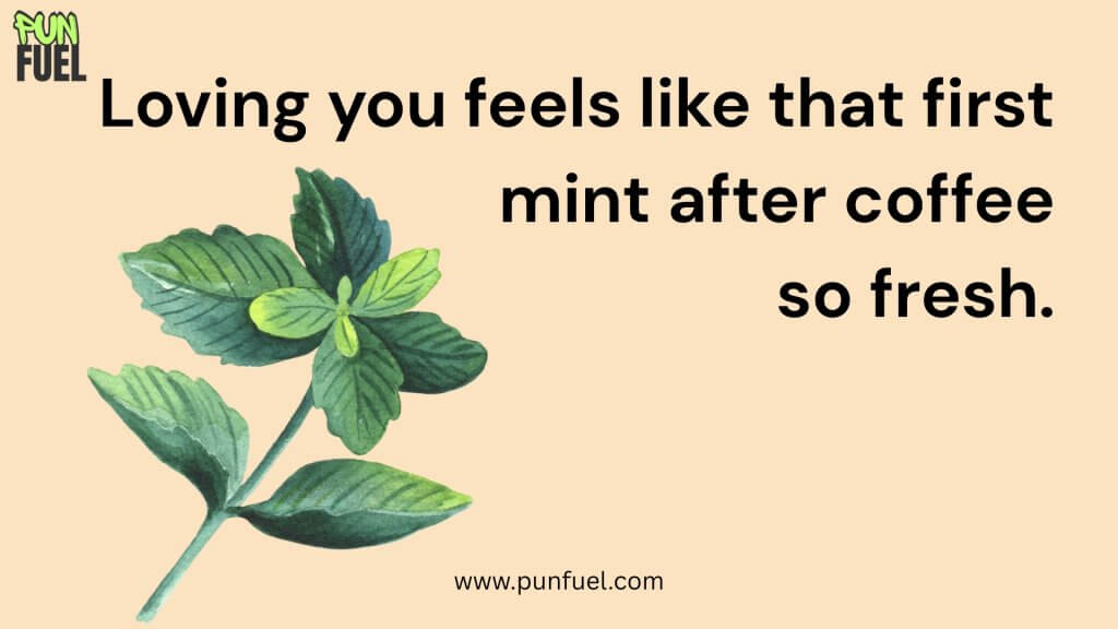 Mint Puns About Love