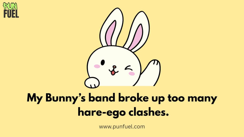 One Liner Bunny Puns