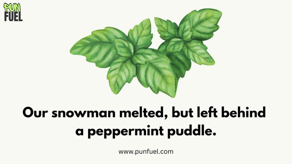 Mint puns for Christmas