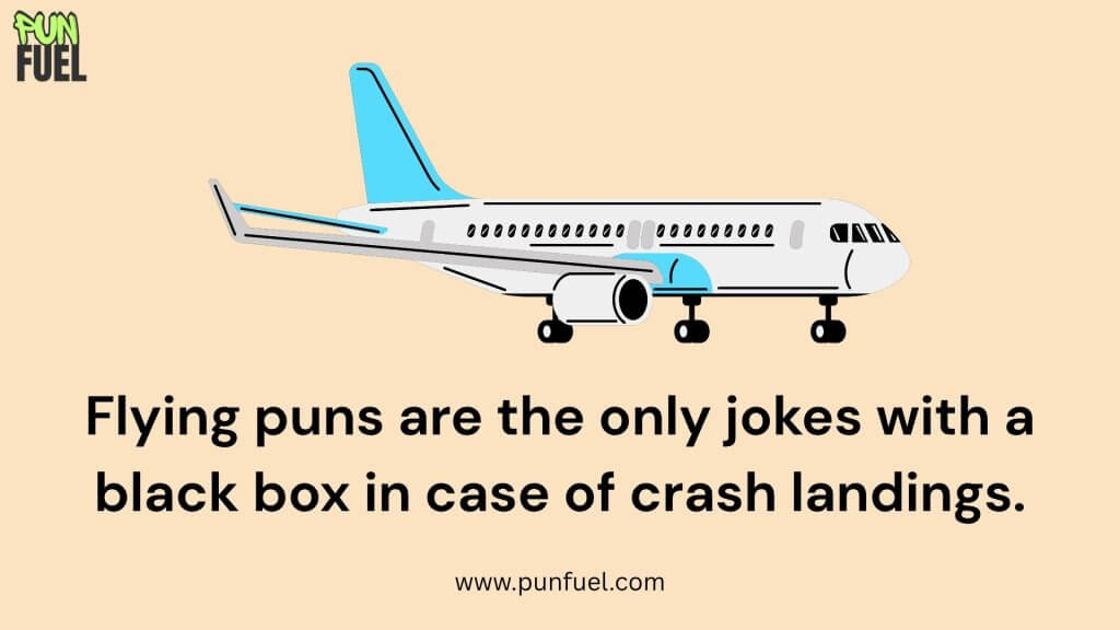 Fun Facts About Airplane Puns