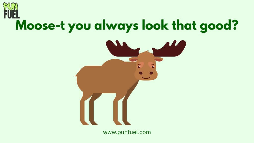 Moose Puns About Love