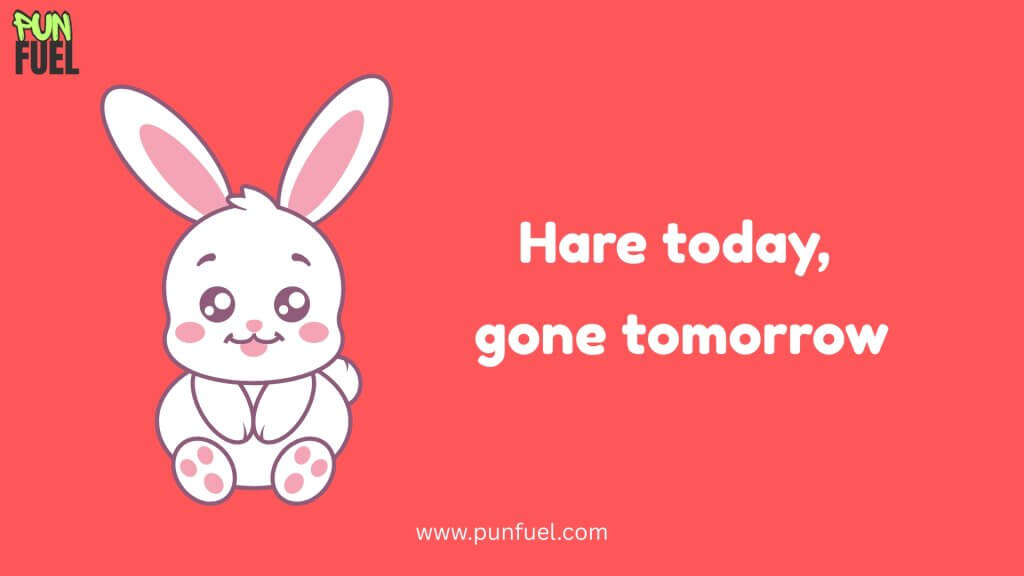 Short Bunny Puns