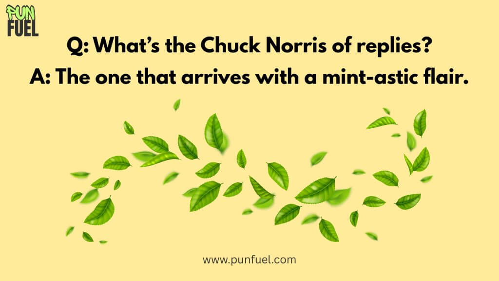 Question-answer mint puns
