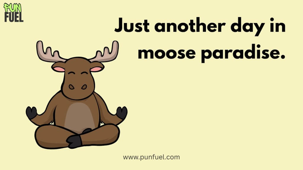 Moose Puns For Captions