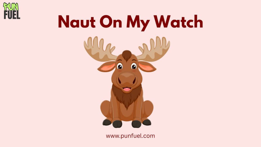 Boat Puns Funny Names