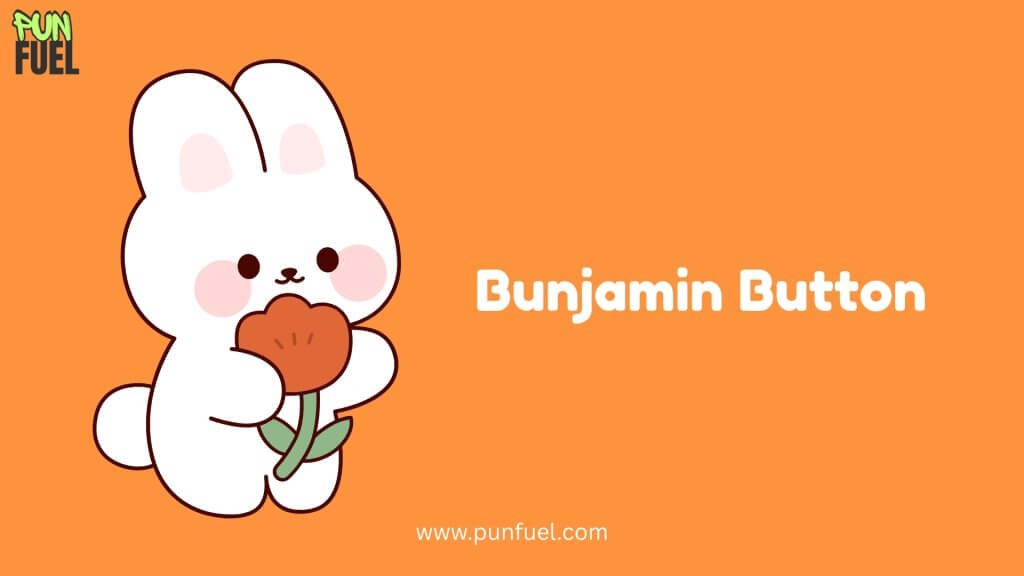 Bunny Puns Names