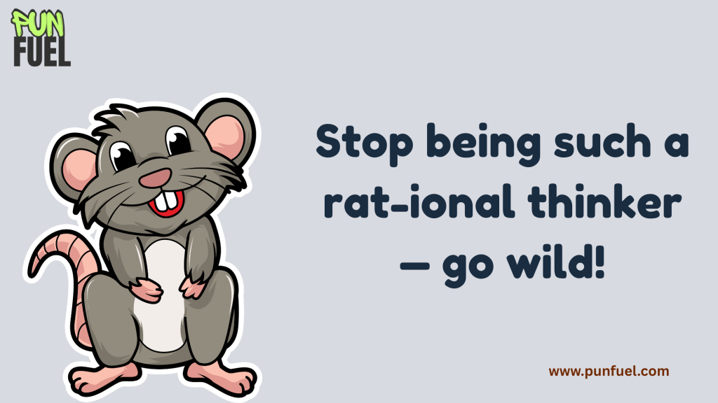 Stop being such a rat-ional thinker — go wild!