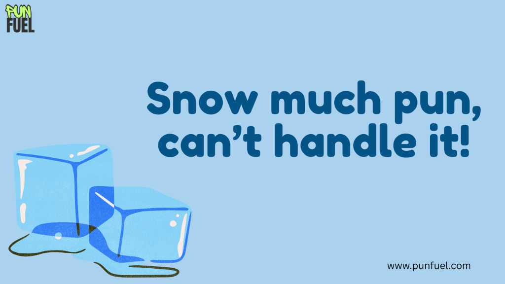 Snow much pun, can’t handle it!