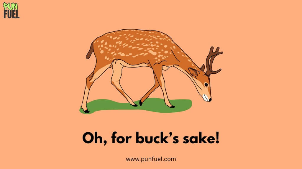 Short Deer Puns
