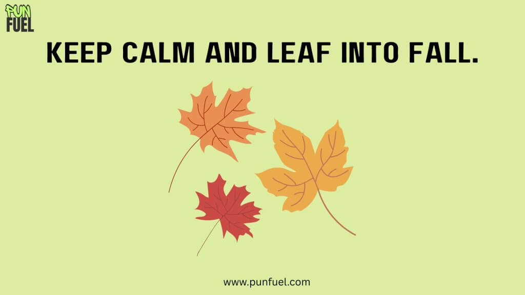 Short Fall Puns