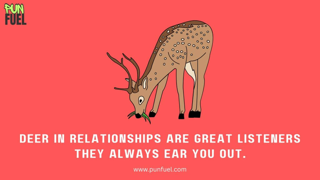Witty Deer Puns