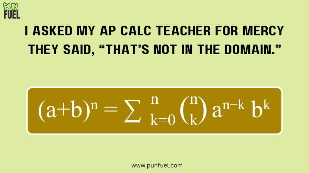 AP Calculus Puns