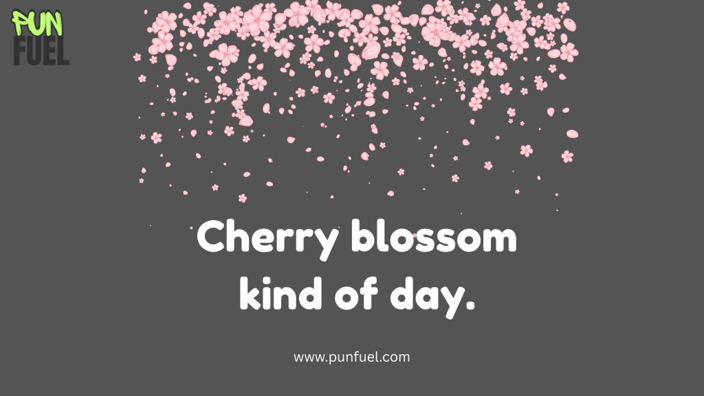 cherry blossom puns