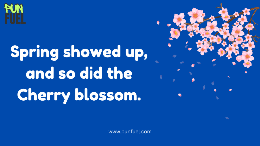cherry blossom puns