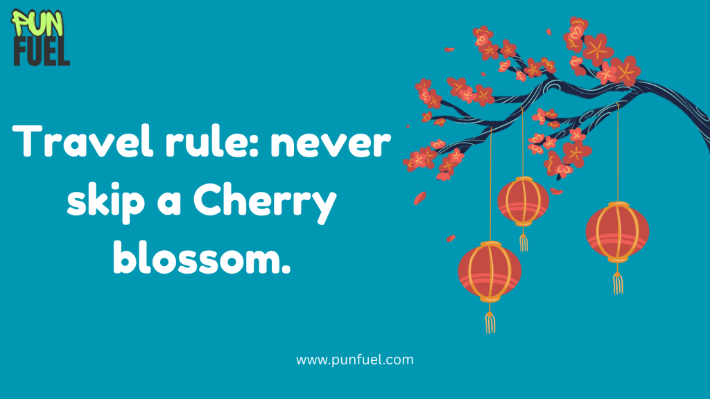 cherry blossom puns